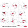 MyPlayToys Double Stimulateur Thrustlick 12 x 3cm
